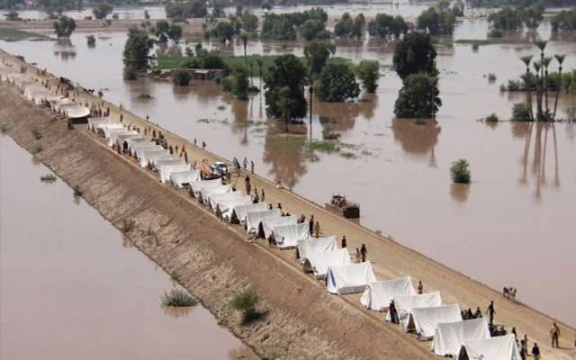 متحدہ عرب امارات، سیلاب متاثرین، 10ملین ڈالرز کی امداد کا اعلان،