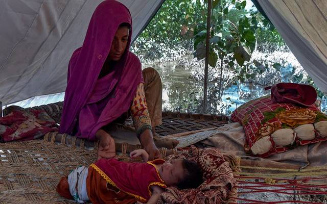 24 نیوز, سیلاب متاثرہ ,سندھ ,شہدادکوٹ, ملیریا , گیسٹرو ,ریلیف کیمپس