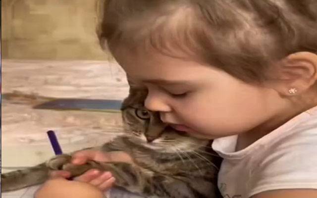 چھوٹی بچی کی بلی کو رنگ سکھانے کی ویڈیو سوشل میڈیا پر وائرل