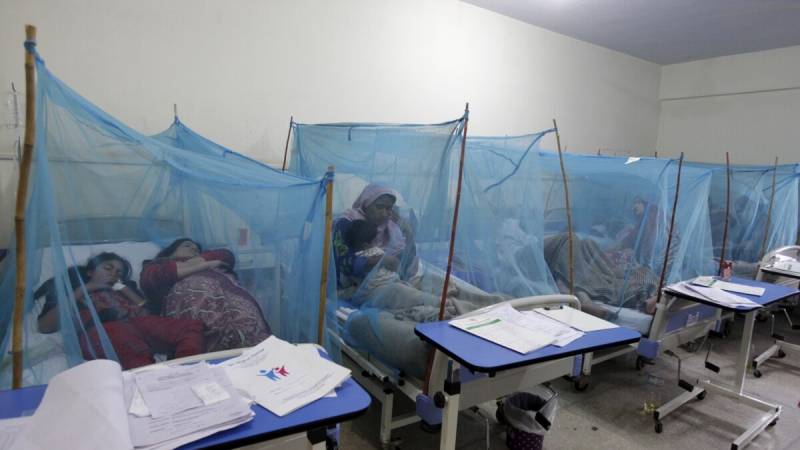 اسلام آباد: مزید 20 افراد میں ڈینگی وائرس کی تصدیق