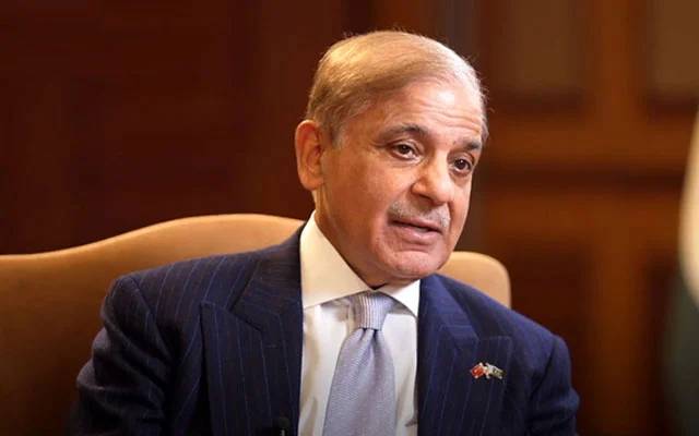 وفاقی حکومت,ریکوڈیک, صدراتی ریفرنس , قانون سازی ,قومی اسمبلی