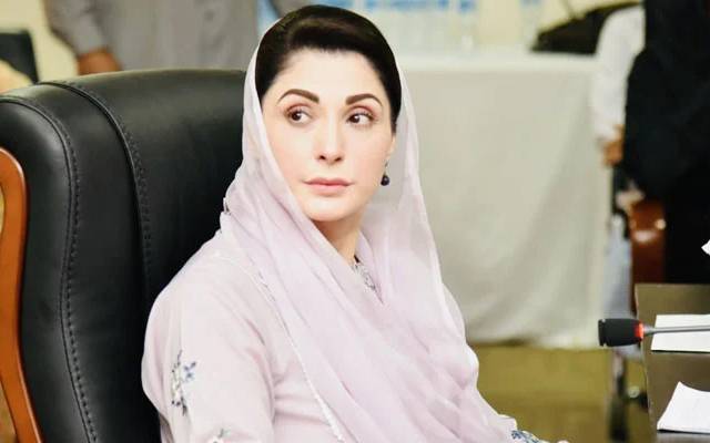 مریم نواز پارٹی سینئر نائب صدرمقرر،تنظیم نو کی ذمہ دار ی بھی نبھائیں گی 