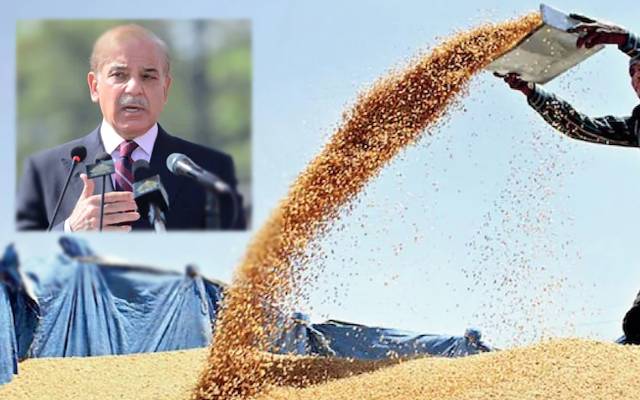 وفاق کا پنجاب کو سرپرائز ،رعایتی قیمت پر قبل از وقت 1 لاکھ94 ہزار ٹن امپورٹڈ گندم فراہم کردی