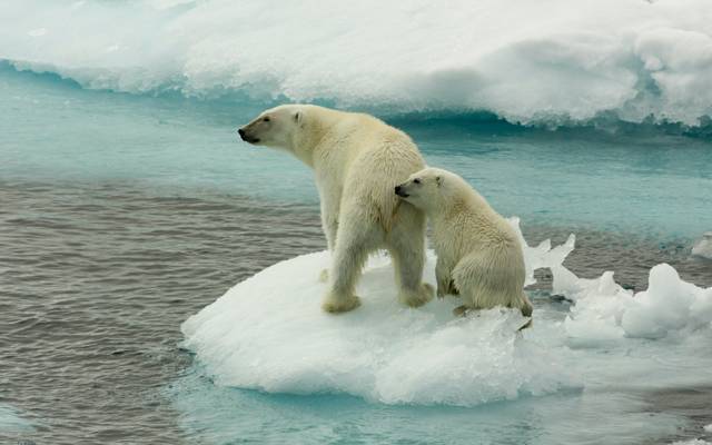 climate change 