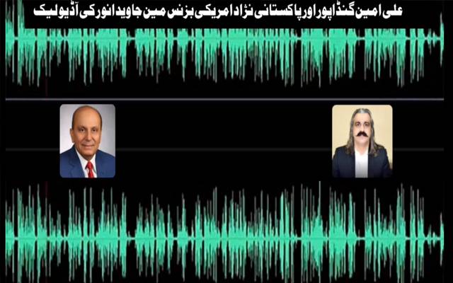 علی امین گنڈاپور اور پاکستانی نژاد امریکی بزنس مین کی مبینہ آڈیو بھی سامنے آ گئی