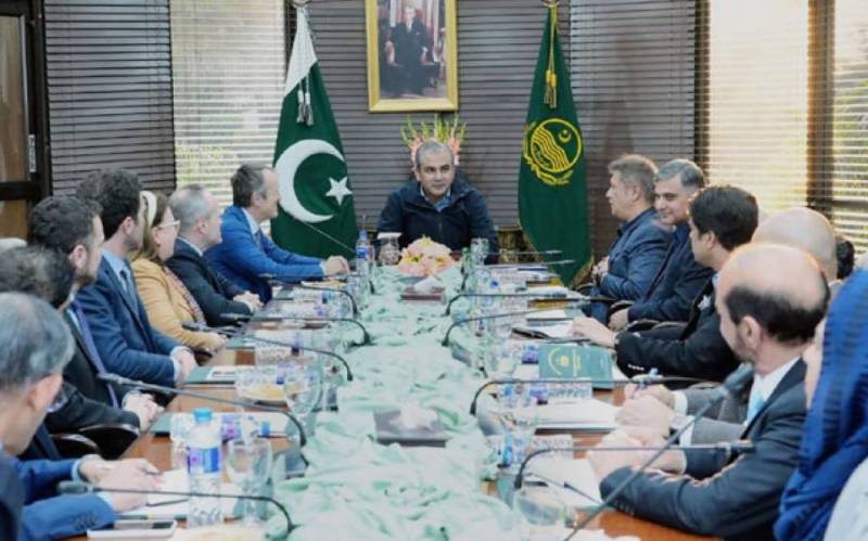 وزیراعلیٰ پنجاب سے اٹلی ترقیاتی تعاون ادارے کے 13رکنی وفد کی ملاقات,اہم امور پر تبادلہ خیال