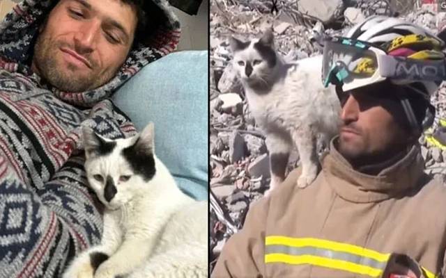 غیرملکی میڈیا کے مطابق ترکی میں ملبے سے ریسکیو اہلکار نے ایک بلی کو بچایا تو اس بلی نے منفرد انداز میں ریسکیو اہلکار کا شکریہ ادا کیا۔