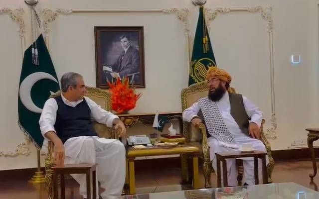 مولانا عبدالغفور حیدری کی وزیراعلیٰ محسن نقوی سے ملاقات،اہم امور پر تبادلہ خیال 