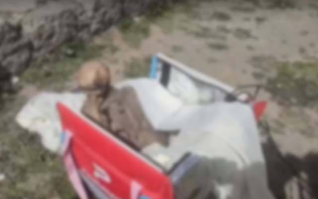 800 سال پرانی ممی کو گرل فرینڈ بنانے والا شخص گرفتار، دراصل وہ ممی کس کی تھی ؟ حیران کن انکشاف 