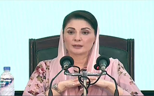 پہلا گیدڑ دیکھا جس نےکارکنوں کو ڈھال بنایا :مریم نواز 