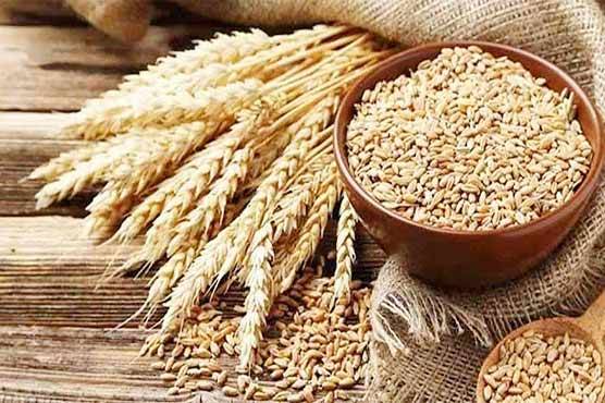 کسانوں کیلئے اچھی خبر ،گندم کی امدادی قیمت منظور 