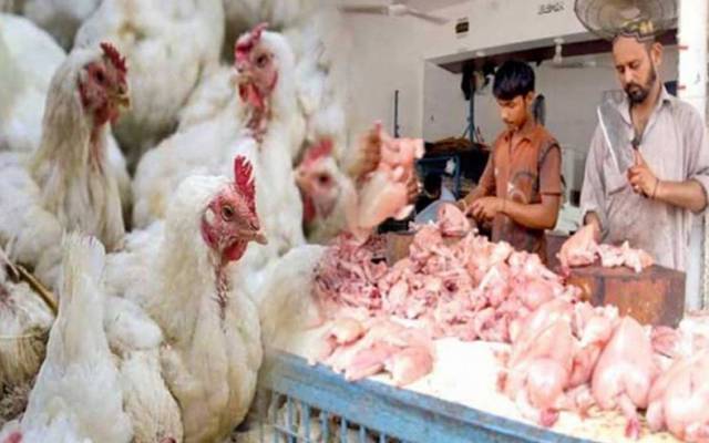 برائلر مرغی کے گوشت کی قیمتوں میں اتار چڑھاؤ جاری ہے۔ لاہورشہر میں برائلر مرغی کے گوشت کی قیمت میں مزید 30روپے کی گئی ہے۔ 