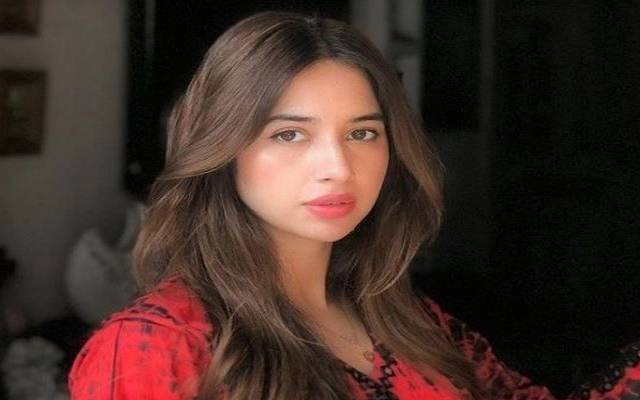 پاکستان شوبز انڈسٹری کی ابھرتی ہوئی اداکارہ سبینہ فاروق کو ان کے ڈرامہ سیریل ’تیرے بن‘ میں حیا کے کردار کے باعث دھمکیاں مل رہی ہیں۔