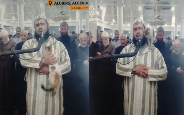 الجزائر میں امام صاحب سے تراویح کے دوران بلی کی شرارتوں کی ویڈیو سوشل میڈیا پر وائرل ہوگئی۔ 