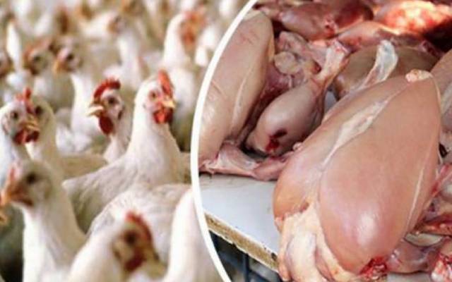 برائلر مرغی کے گوشت کی قیمتوں میں اتار چڑھاؤ  کا سلسلہ جاری ہے۔