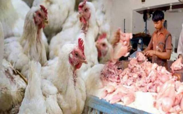لاہور میں برائلر مرغی کے گوشت کی قیمت میں 10 روپے کمی کی گئی ہے۔ 