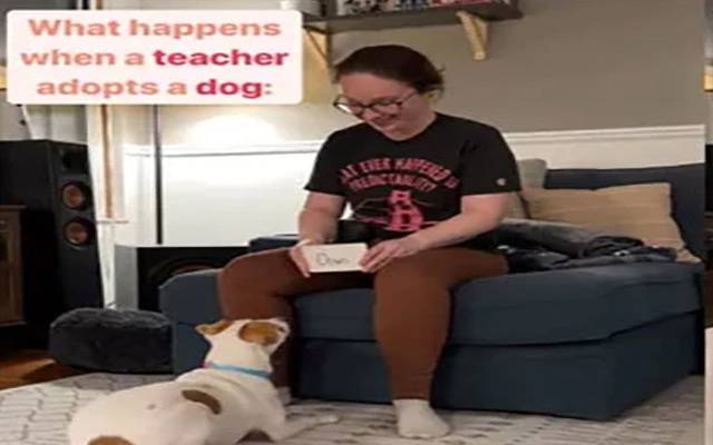 ایک خاتون ٹیچر اپنے پالتو کتے کو پڑھاتے ہوئے نظر آرہی ہے اور کتا ان کی باتوں پر عمل بھی کر رہا ہے۔