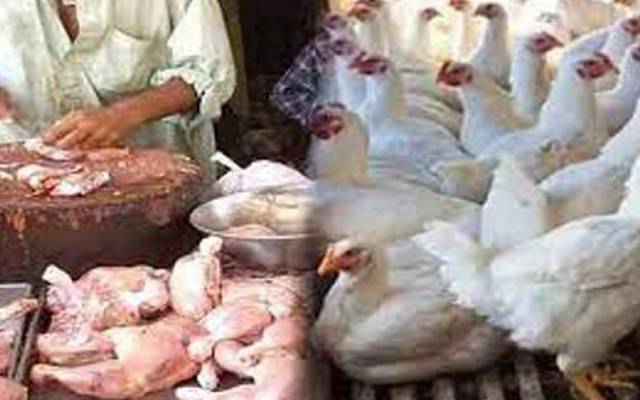 لاہور میں برائلر مرغی کے گوشت کی قیمت میں 17 روپے کمی کی گئی ہے۔ 