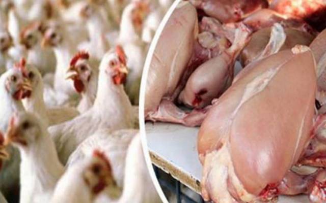 برائلر مرغی کے گوشت کی قیمتوں میں اتار چڑھاؤ  کا سلسلہ جاری ہے۔ لاہور میں برائلر مرغی کے گوشت کی قیمت میں مزید  15 روپے کمی ریکارڈ کی گئی ہے۔    