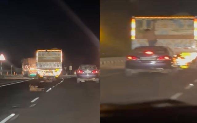 چلتے ٹرک سے جانوروں کی چوری کی حیرت انگیز انداز ویڈیو سوشل میڈیا پر وائرل 