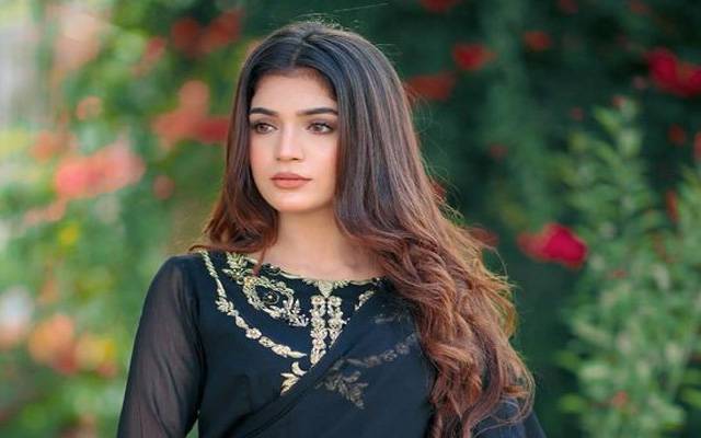 لائبہ خان کیسا ہمسفر چاہتی ہیں ؟ بتادیا