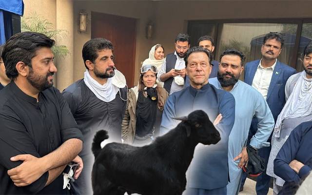کالے بکرے کا چکر لگاؤ ، پھر اندر جاؤ ، عمران خان کے گھر جانیوالی ٹیم کیساتھ کیا ہوا ؟ حقیقت سے پردہ اٹھ گیا