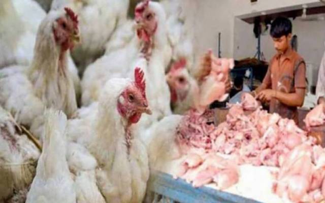 برائلر مرغی کے گوشت کی قیمتوں میں اتار چڑھاؤ  کا سلسلہ جاری ہے۔ لاہور میں برائلر مرغی کے گوشت کی قیمت میں 15 روپے کمی کی گئی ہے۔    