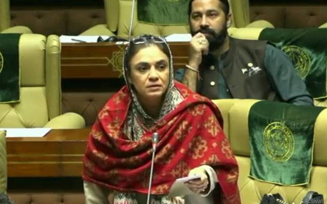 پی ٹی آئی کی سابق ایم پی اے رابعہ اظفر نظامی کاپارٹی چھوڑنے کااعلان 