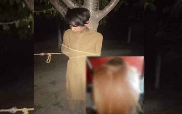 سوات: چیری چرانے پر باغ کے مالک کا بچے پر تشدد، تصاویر وائرل