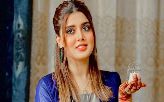 گھریلو تشدد سے متعلق بیان، کنول آفتاب نے معافی مانگ لی
