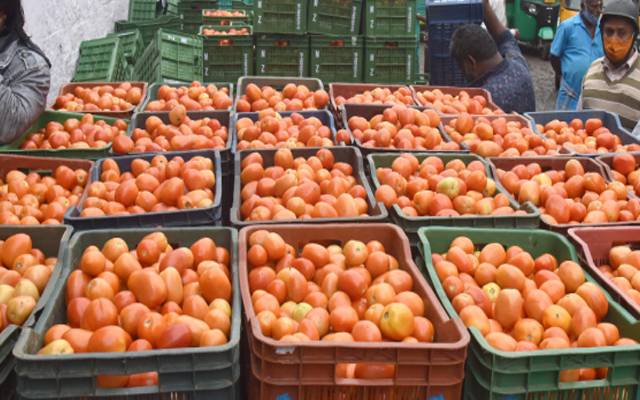 عید سے قبل ، ٹماٹر کی قیمت میں بڑا اضافہ 