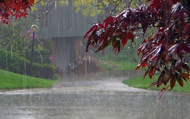 ملک میں مون سون کی پہلی بارش کا آغاز ہوتے ہی موسم خوشگوار ہوگیا۔ ملک کے بیشتر میدانی علاقوں میں موسم گرم اور مرطوب رہے گا۔ تاہم کشمیر، گلگت بلتستان، خیبر پختونخوا، اسلام آباد، خطۂ پوٹھوہار اور بالائی/وسطی پنجاب میں آندھی اورگرج چمک کے ساتھ بارش متوقع۔ اس دوران چند مقامات پر موسلا دھار بارش کی توقع ہے۔