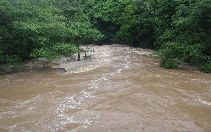 نارووال میں سیلاب کا خطرہ ، الرٹ جاری کر دیا گیا
