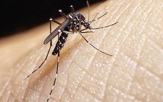 ڈینگی کا خطرہ ، محکمہ ہیلتھ کی لاپرواہی، ورکرز کی بھرتیاں نہ ہوسکی