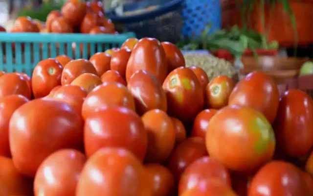 Un agriculteur indien est devenu millionnaire grâce à l’augmentation du prix des tomates