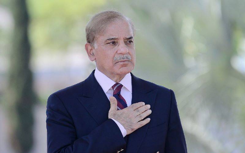 ہم نے ریاست بچائی،اکثریت ملی تووزیراعظم نوازشریف ہونگے:وزیراعظم