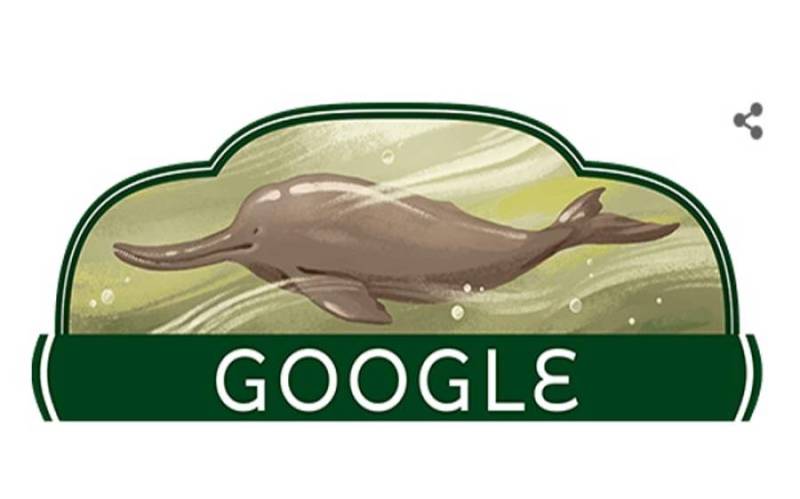 پاکستان کے 76ویں یوم آزادی پر گوگل نے اپنا ڈوڈل تبدیل کر دیا  
