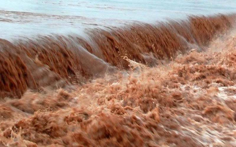 سیلابی پانی نے ہزاروں ایکڑ پر کھڑی فصلیں تباہ کر دیں، کسان حکومتی امداد کے منتظر