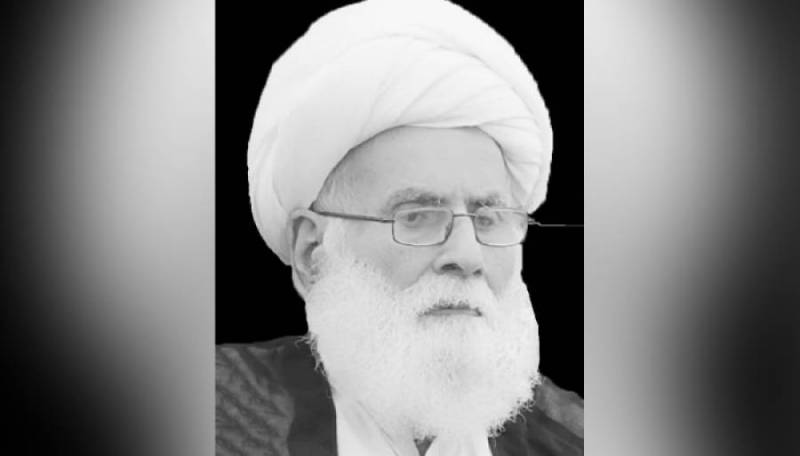 معروف عالم دین علامہ محمد حسین نجفی انتقال کرگئے