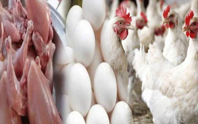  برائلر مرغی کے گوشت کی قیمتوں میں اتار چڑھاؤ  کا سلسلہ جاری ہے۔ لاہور میں برائلر مرغی کے گوشت کی قیمت میں 6 روپے اضافہ ریکارڈ کیا گیا ہے۔  