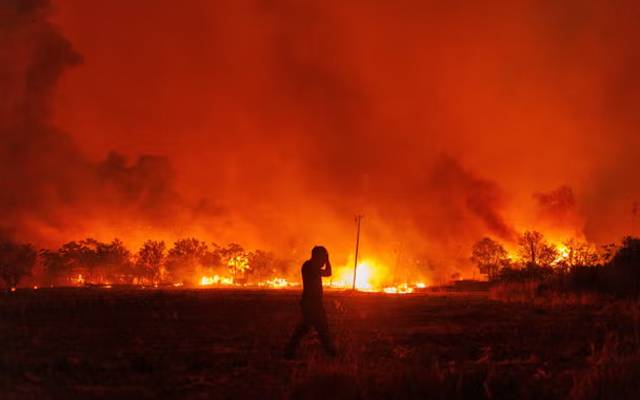  یونان کے شمال مشرفی علاقے کے جنگلات میں لگی آگ پر 4 روز بعد بھی قابو نہ پایا جاسکا، آ جنگلات میں آتشزدگی سے ہلاک ہونے والے افراد کی تعداد 20 ہوگئی، جن کے حوالے سے خدشہ ظاہر ہے کہ وہ تارکین وطن کی لاشیں ہیں۔  