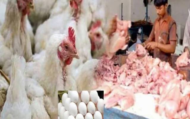 برائلر مرغی کے گوشت کی قیمتوں میں اتار چڑھاؤ جاری ہے۔ لاہورشہر میں برائلر مرغی کے گوشت کی قیمت میں 15 روپے کمی کی گئی ہے۔ 