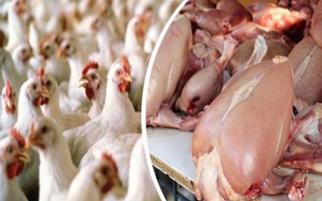  برائلر مرغی کے گوشت کی قیمتوں میں اتار چڑھاؤ  کا سلسلہ جاری ہے۔ لاہور میں برائلر مرغی کا گوشت 7روپے سستا ہو گیا ہے۔ 
