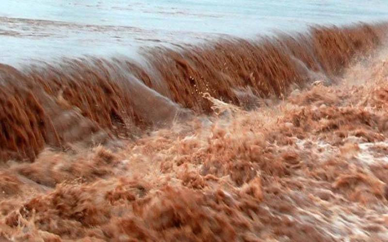India, side, left, water, Ganda Singhwala, entered, 24 News