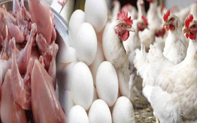  برائلر مرغی کے گوشت کی قیمتوں میں اتار چڑھاؤ  کا سلسلہ جاری ہے۔ لاہور میں برائلر مرغی کے گوشت کی قیمت میں 12 روپے کمی ریکارڈ کی گئی ہے۔  