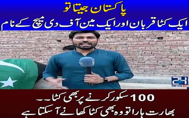 پاکستان جیتا تو ایک کٹا قربان, ایک مین آف دی میچ کے نام, 100سکور کرنے پر بھی کٹا