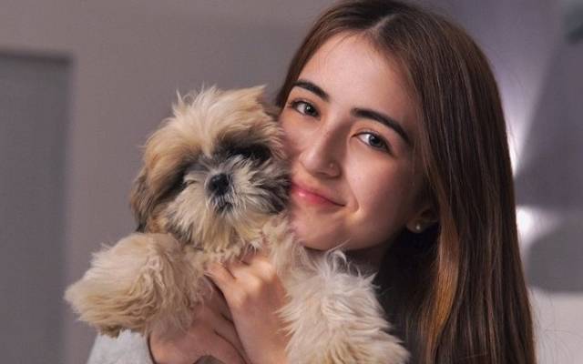  اداکارہ اور ماڈل میرب علی نے اپنے پالتو کتے کے انتقال کے بعد اس کے آخری سفر کیلئے دعا کرنے کی درخواست پر سوشل میڈیا صارفین کی جانب سے بےجا تنقید کا نشانہ بنایا جا رہا ہے۔