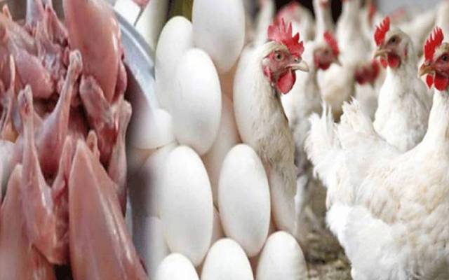 برائلر مرغی کے گوشت کی قیمتوں میں اتار چڑھاؤ  کا سلسلہ جاری ہے۔ لاہور میں برائلر مرغی کے گوشت کی مرغی کا گوشت  8روپے سستا ہو گیا ہے۔