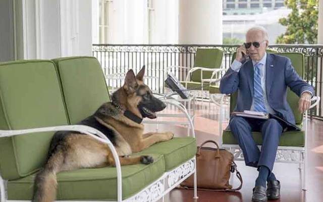 Le chien de Joe Biden mord à nouveau un agent des services secrets