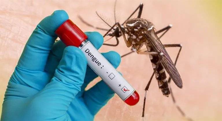 بنگلادیش میں ڈینگی خطرناک وبا کی صورت اختیار کرگیا، ہلاکتوں میں اضافہ 
